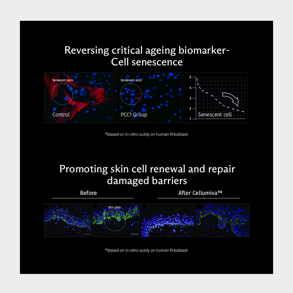 NEO CELL PQQ with Senolytic Complex