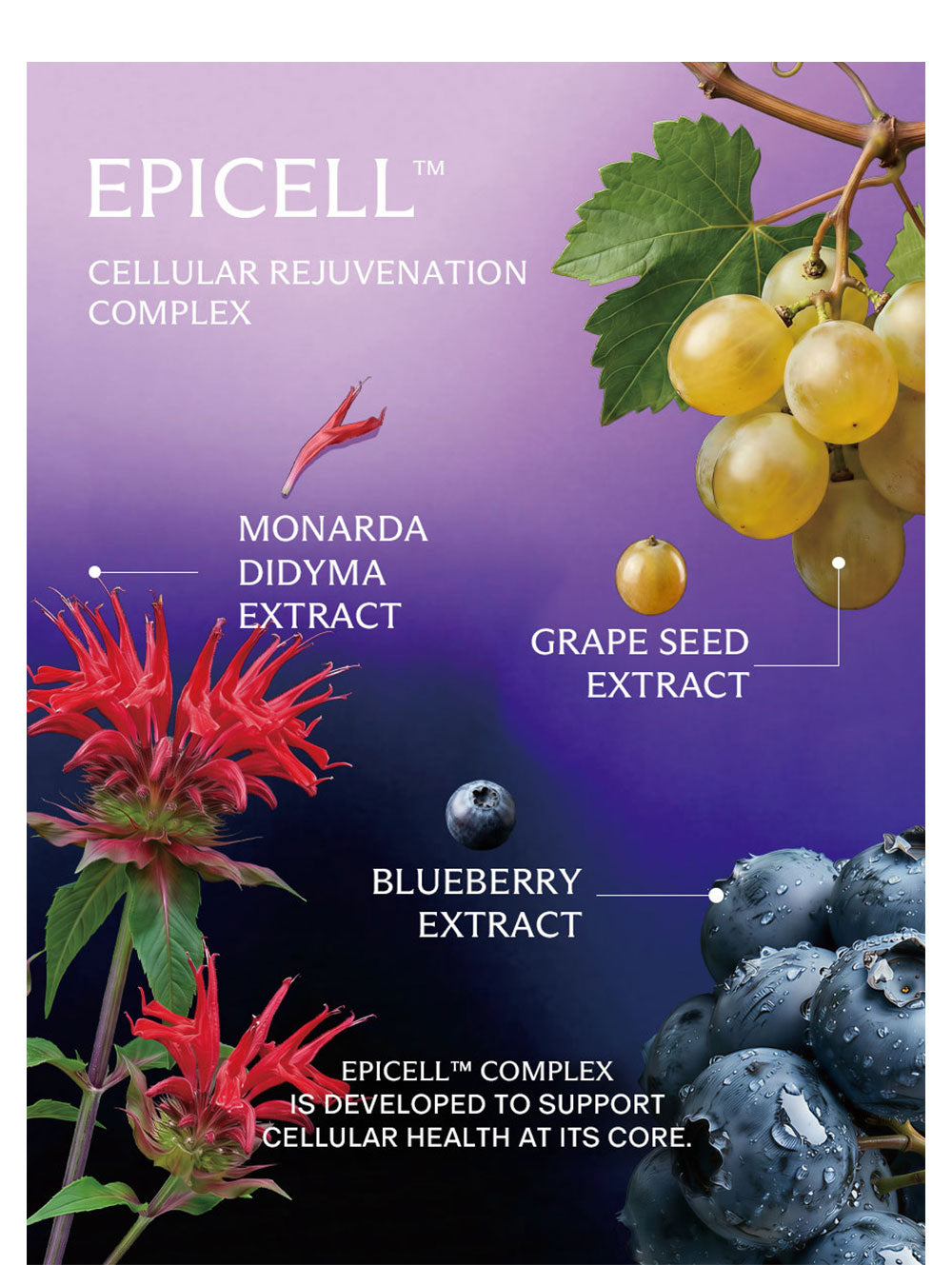 AGELESS CELL 5-Day Sample Pouch 10 Capsules